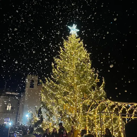 ゲストハウス Charming 3*